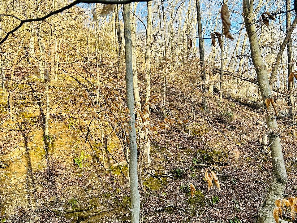 2nd image of 0 Sam Bowling Rd