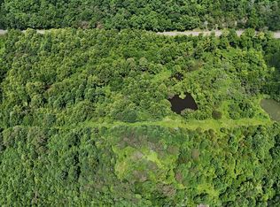 1444 Beech Creek Rd, Rogersville, TN 37857