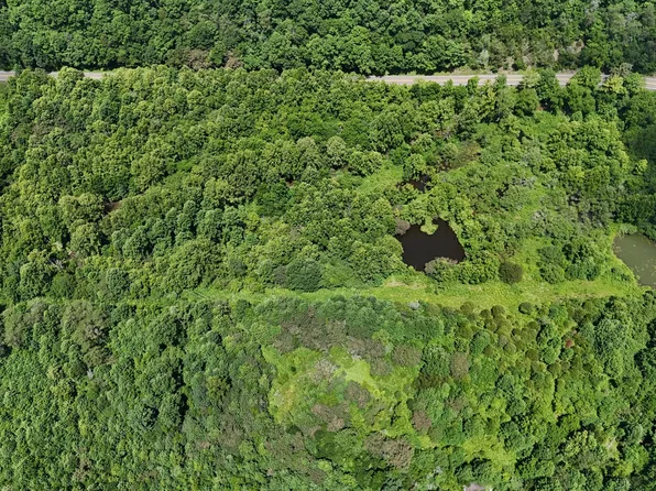 1444 Beech Creek Rd, Rogersville, TN 37857
