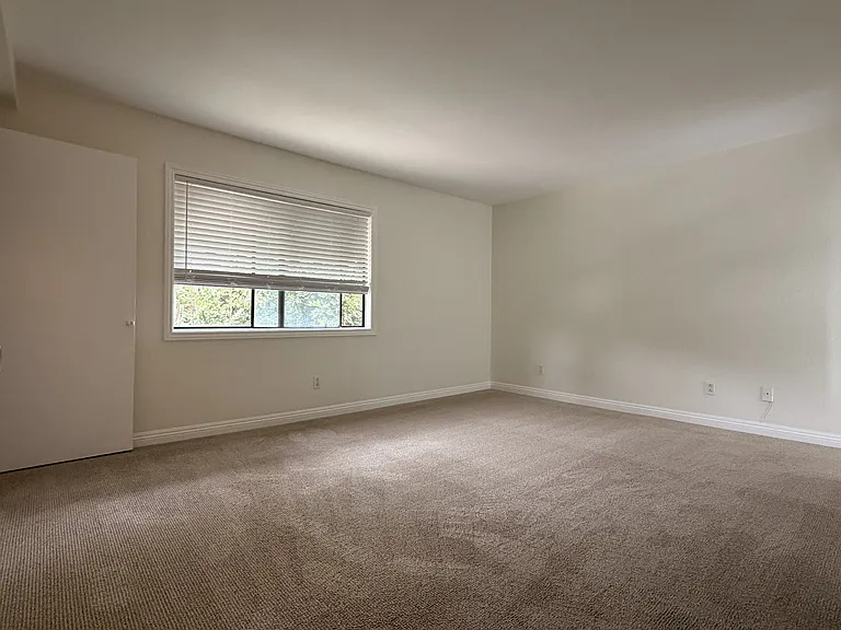 Primary bedroom with carpet, large window, and neutral wall color.