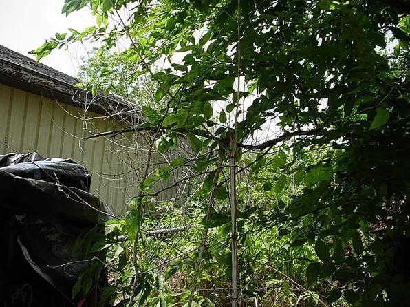 316 20th St, San Leon, TX 77539