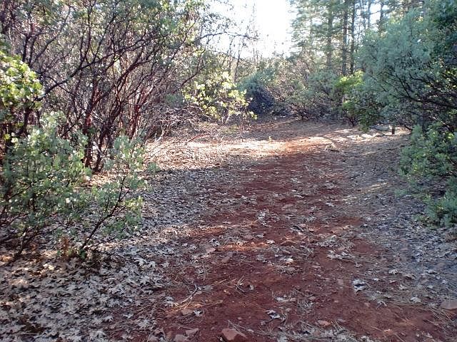 2nd image of Bunny Tail Dr