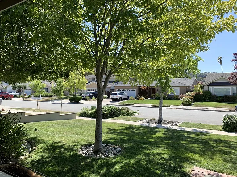 6188 Evangeline Dr — Photo 23