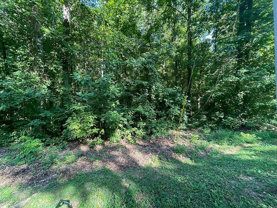 2nd image of 133 Blue Heron Point Lot 133