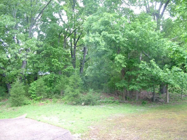 LOT 8 Franklin Ave, Mountain Home, AR 72653