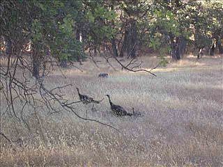 2nd image of 7356 Jay Hawk Way