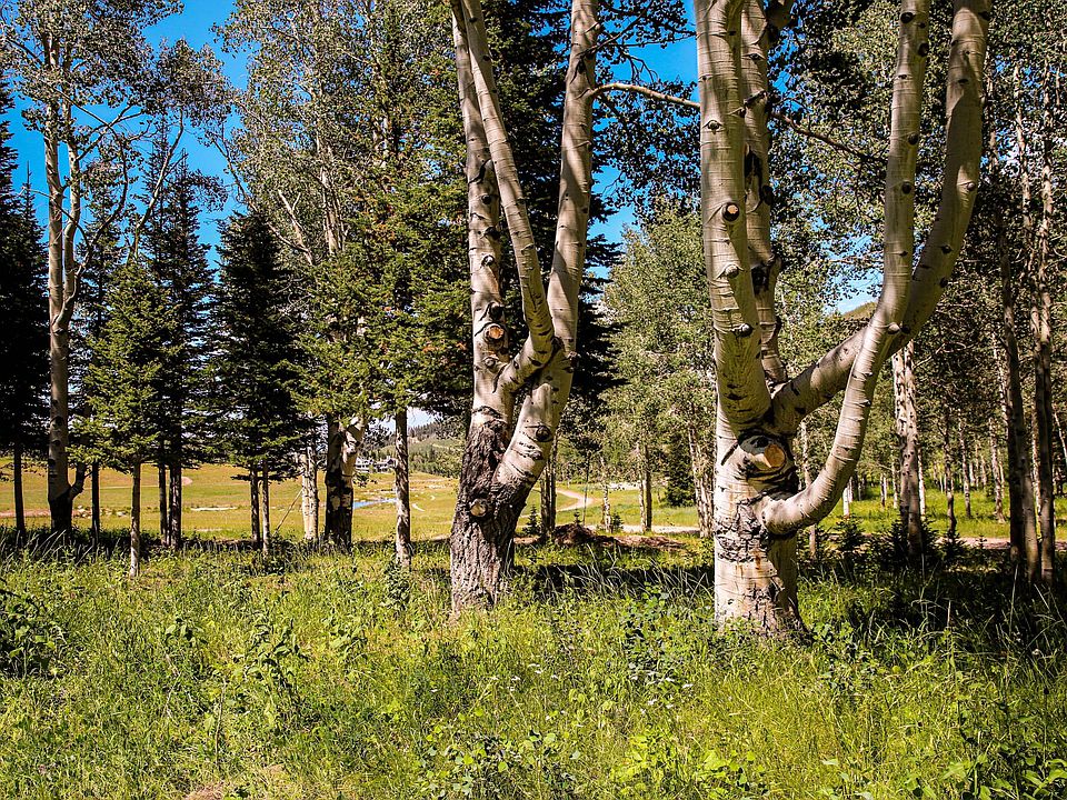 1st image of 269 White Pine Canyon Rd Lot 269