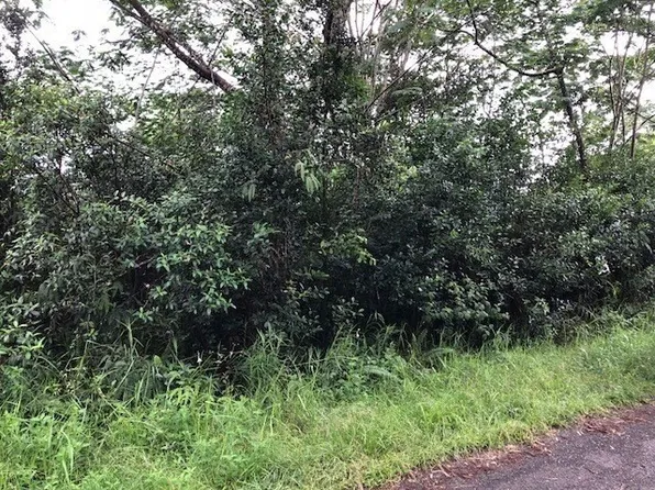 21st Avenue Mikana Lot 339, Keaau, HI 96749