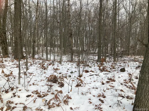 5 & 6 McBride Rd, Caseville, MI 48725