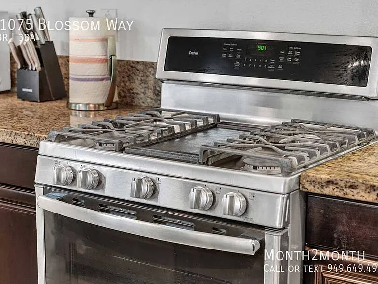 21075 Blossom Way — Photo 21