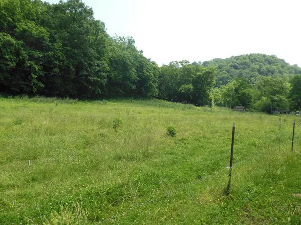 0 Hurricane Branch Ln, Gainesboro, TN 38562