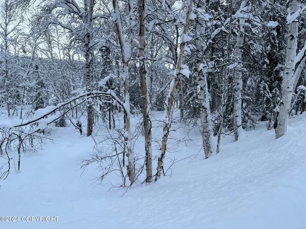 1180 N Amber Dr, Wasilla, AK 99623