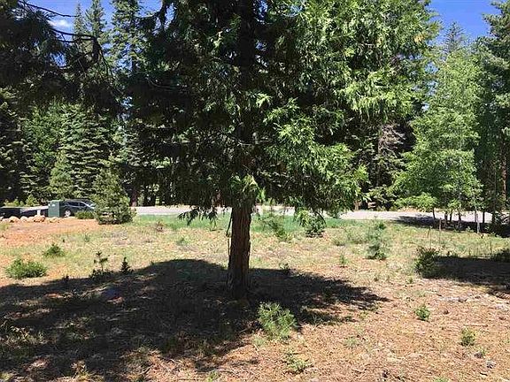 3rd image of 302 Lake Almanor West Dr