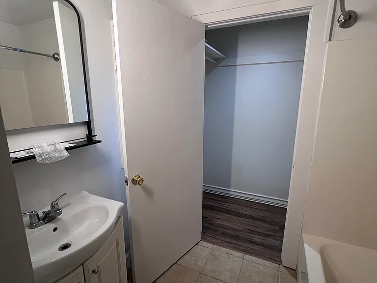 Master bathroom and closet. Toliet is to the left and not in the shot.