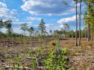 Lot 0 Moores Swamp Road, Ivanhoe, NC 28447