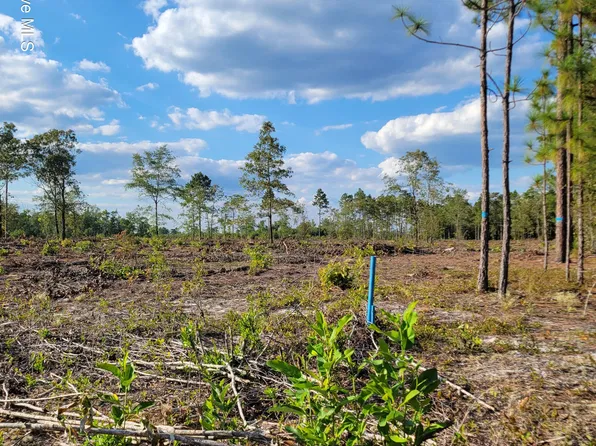 Lot 0 Moores Swamp Road, Ivanhoe, NC 28447