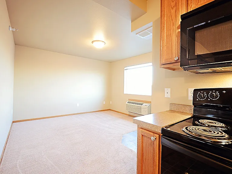 Remington — Photo 21