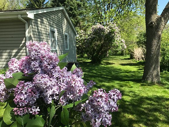 Feels like country living!