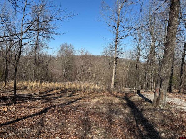 Off Backway Rd, Yellville, AR 72687