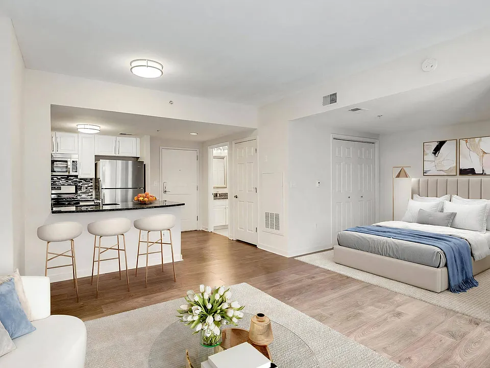 Open Studio Layout With Kitchen, Bedroom Area, and Living Room Setup