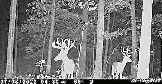 3rd image of 29631 Highway 112