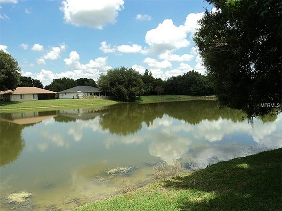 4th image of 1917 Tampa Bay Dr