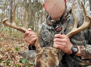 1299 Buttermilk Rd, Saint Charles, KY 42453