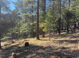 90 Black Forest Dr, Cloudcroft, NM 88317