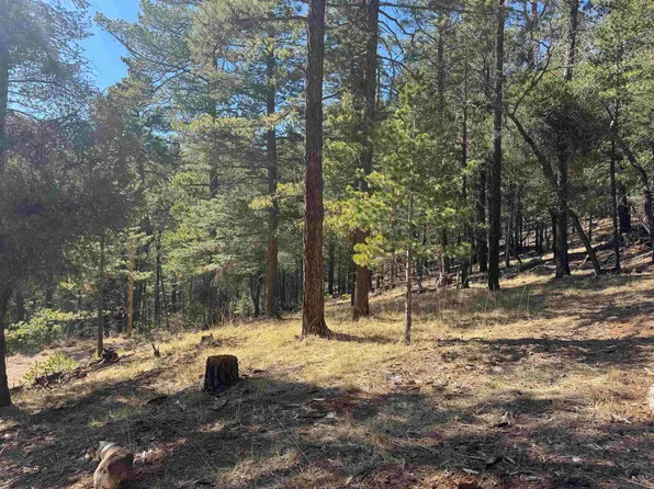 90 Black Forest Dr, Cloudcroft, NM 88317