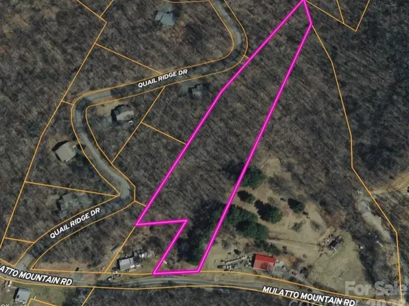 0 Mulatto Mountain Rd, Fleetwood, NC 28626