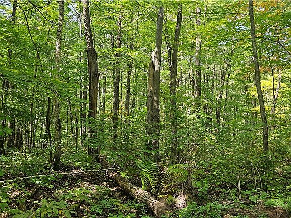 2nd image of Lot 0 County Road E