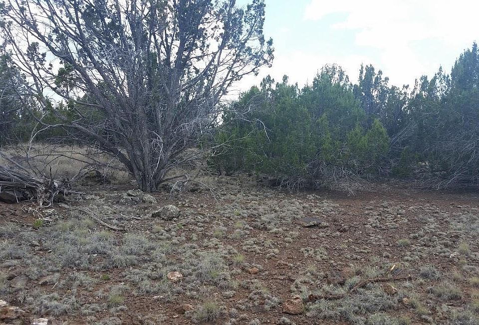 2nd image of 1547 Navajo Rd