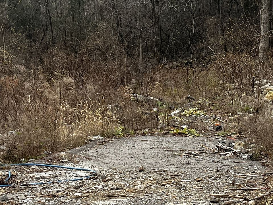 1st image of 438 Haynie Ave