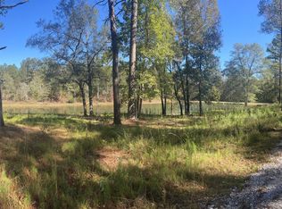 237 Holly Branch Ln, Harlem, GA 30814