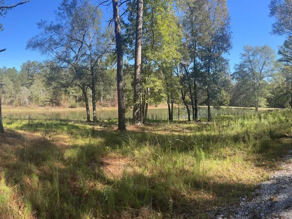 237 HOLLY BRANCH Lane, Harlem, GA 30814