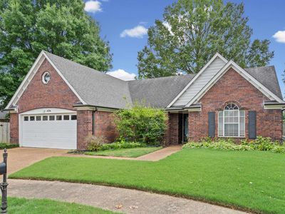 245 Poplar Bluff Cv, Collierville, TN, 38017