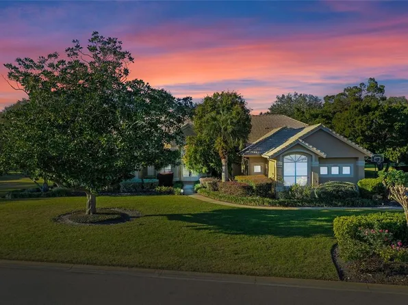 11359 Willow Gardens Dr, Windermere, FL 34786