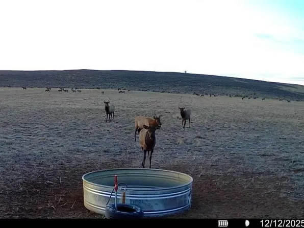 Tbd, Maybell, CO 81640