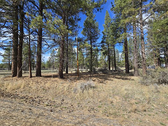 5th image of Keno Springs Rd #25