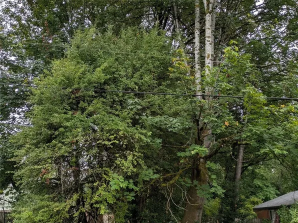 1717 McCormick Street NE, Olympia, WA 98506