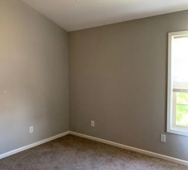 3212 Sweet Clover Ln — Photo 15