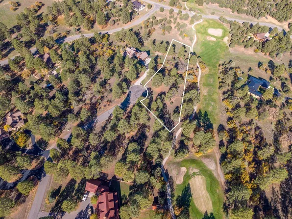 274 Puma Ln, Ridgway, CO 81432