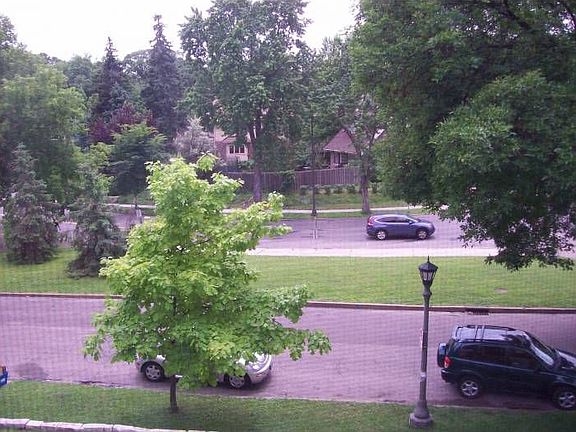 Terrific View
