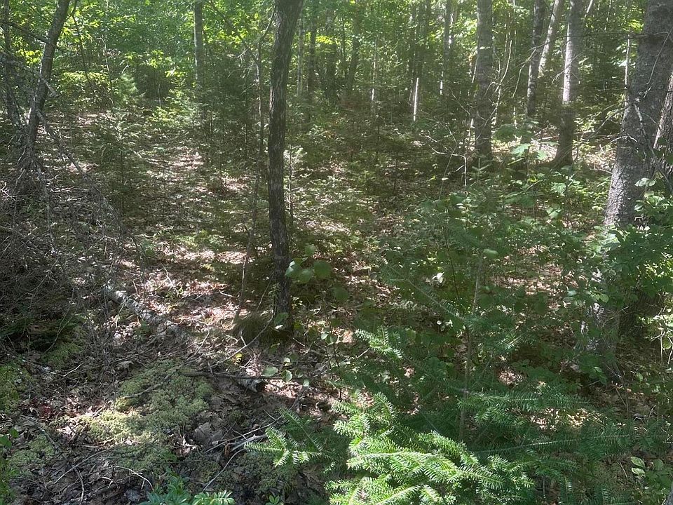 2nd image of Lot 5 W Side Unionville Road