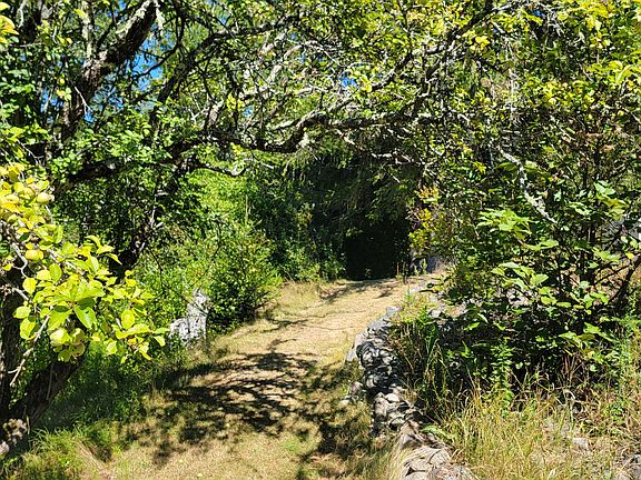 35th image of this home