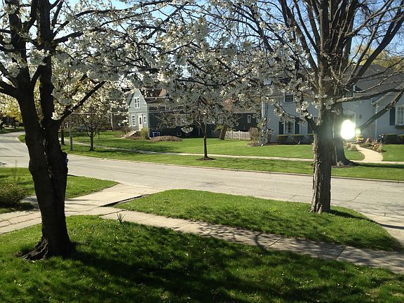 View Out of Living Room