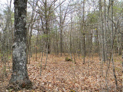 2nd image of Rogers Rd