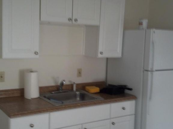 4th image of 319 Franklin Ave