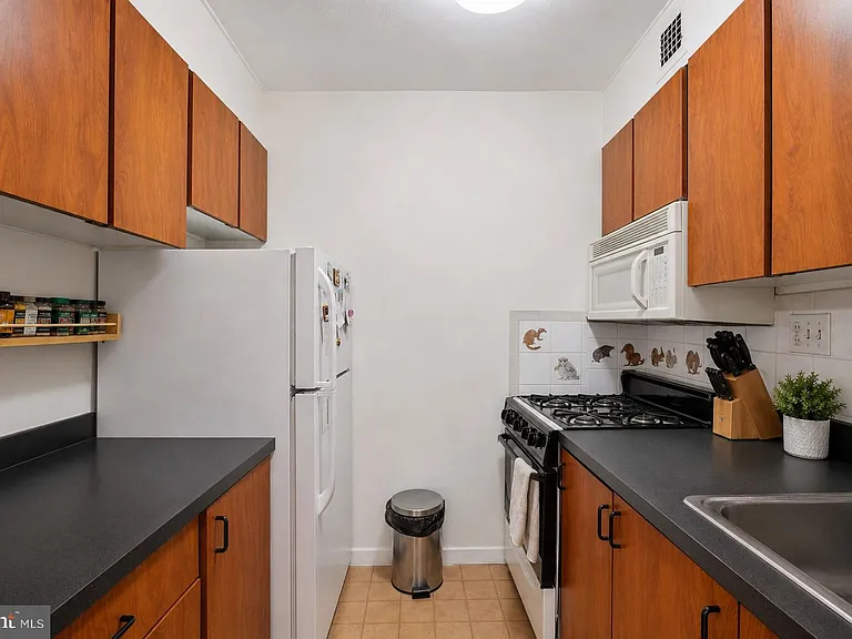 224 W Rittenhouse Sq #30-1404 — Photo 3