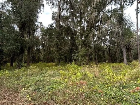 LOT 17 Plantation Dr, Darien, GA 31305